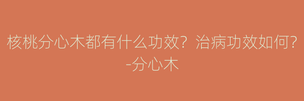 核桃分心木都有什么功效？治病功效如何？-分心木