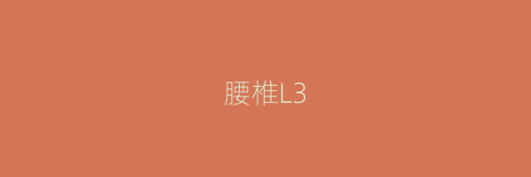 腰椎L3